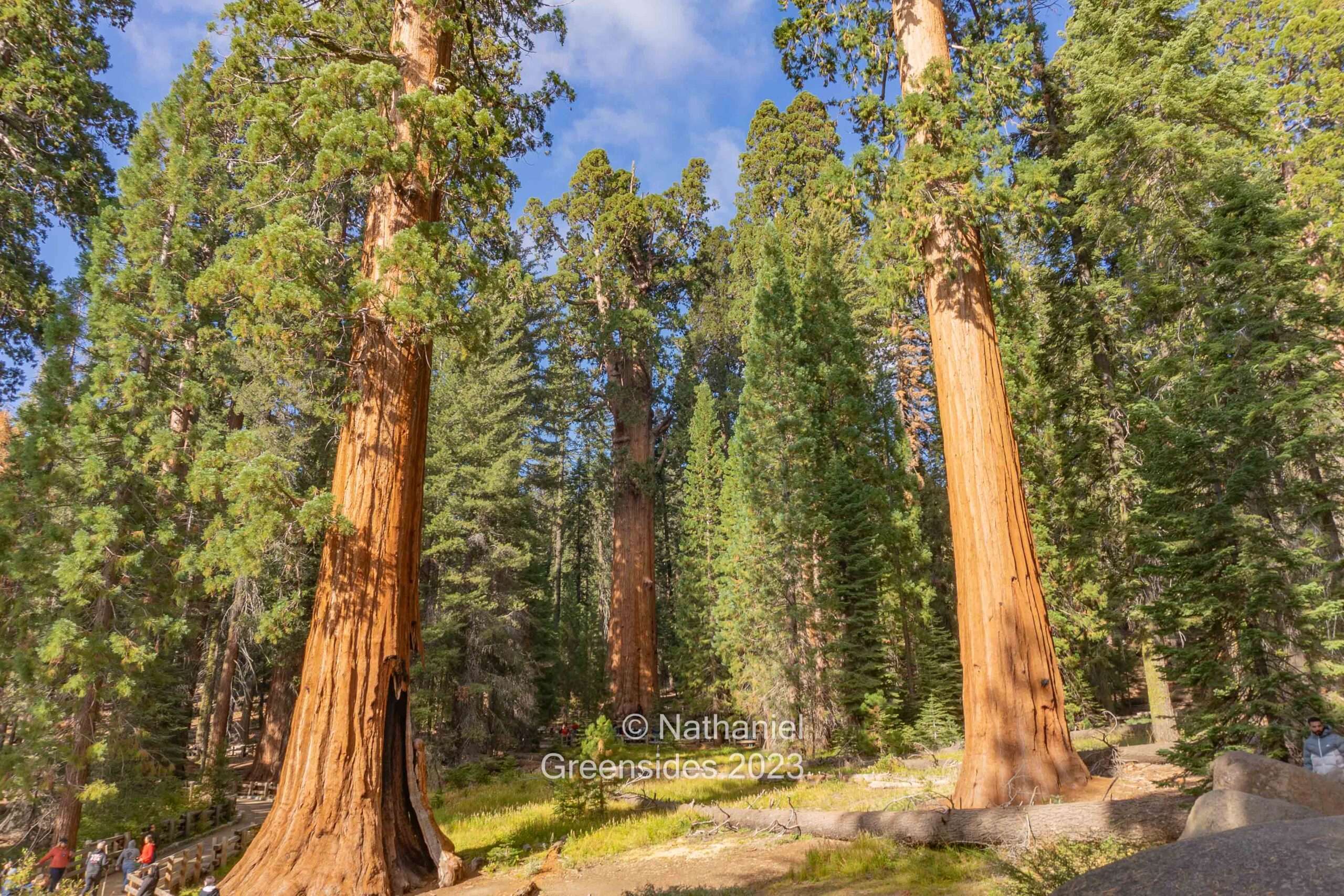 Sequoia National Park – October 2023